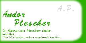 andor plescher business card